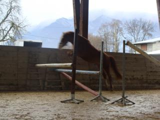 http://www.cedesmillieres.fr/sites/default/files/imagecache/preset3/royal%20feu%20009.JPG